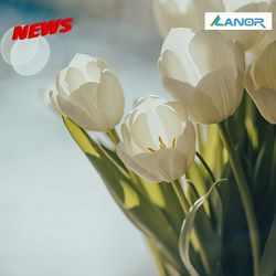 Наша компанія Lanor, вітає всіх жінок з 8 березня!